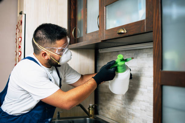 Best Bed Bug Extermination  in Suisun City, CA