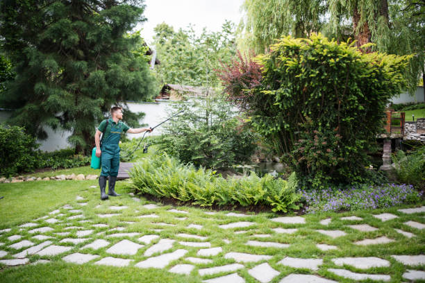 Best Pest Control Near Me  in Suisun City, CA