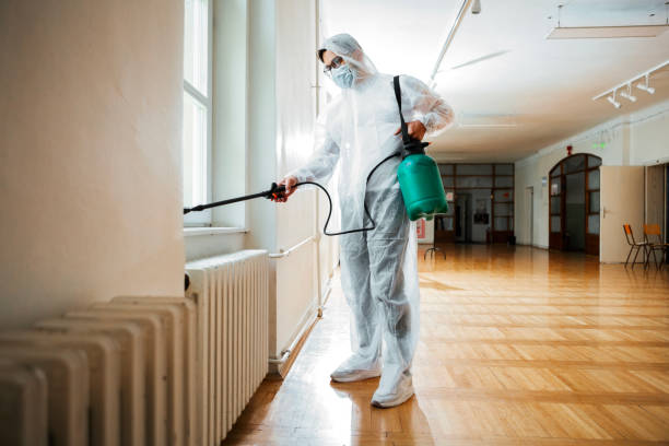 Best Local Pest Control Services  in Suisun City, CA