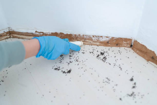 Best Exterminator Services  in Suisun City, CA